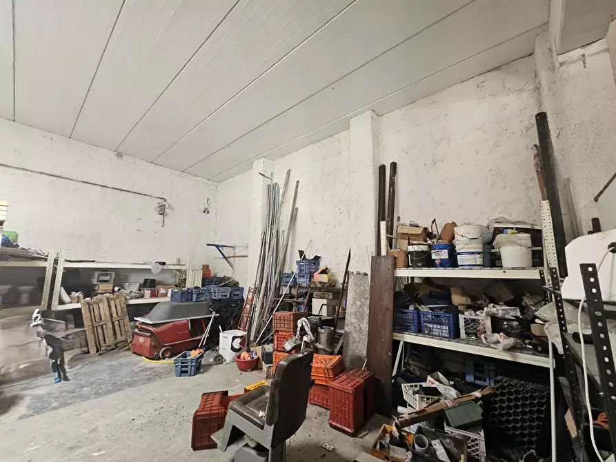 Immagine 4 di Magazzino in vendita  in VIA DEL POGGIO a Gorizia