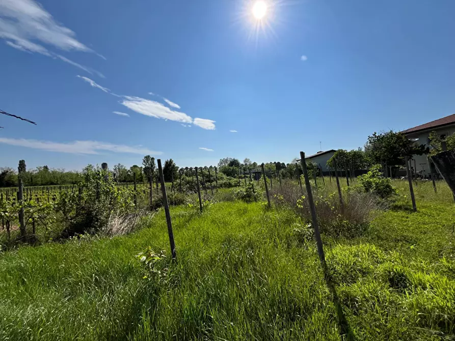 Immagine 2 di Terreno residenziale in vendita  in VIA SOTTOMONTE 157 a Manzano