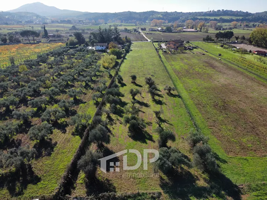 Immagine 1 di Terreno agricolo in vendita  in Strada della Neve a Palombara Sabina