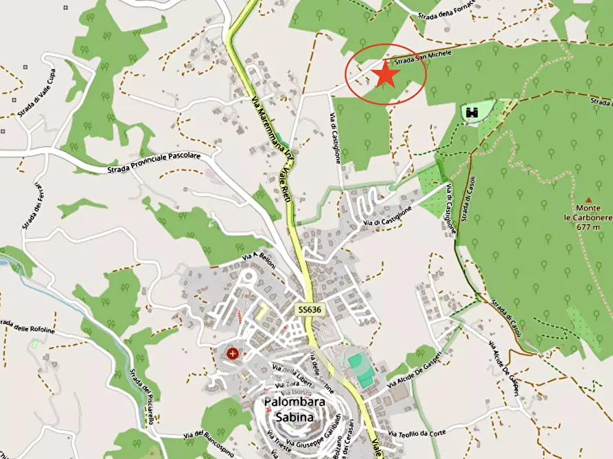 Immagine 29 di Terreno agricolo in vendita  in Strada di San Michele snc a Palombara Sabina