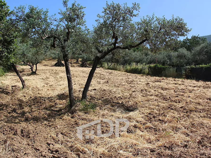Immagine 14 di Terreno agricolo in vendita  in Strada della Fornace snc a Palombara Sabina