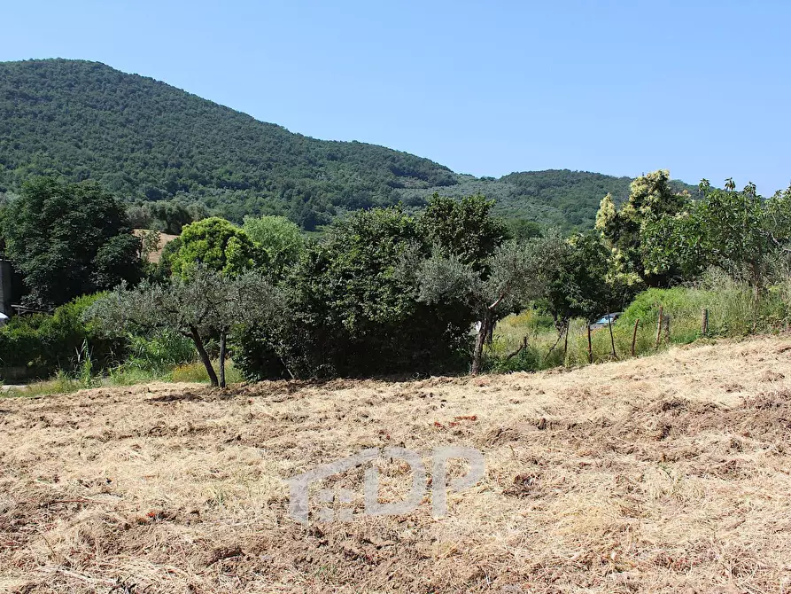 Immagine 13 di Terreno agricolo in vendita  in Strada della Fornace snc a Palombara Sabina