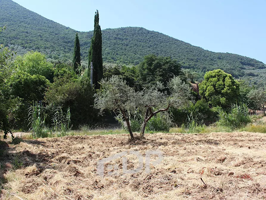 Immagine 16 di Terreno agricolo in vendita  in Strada della Fornace snc a Palombara Sabina