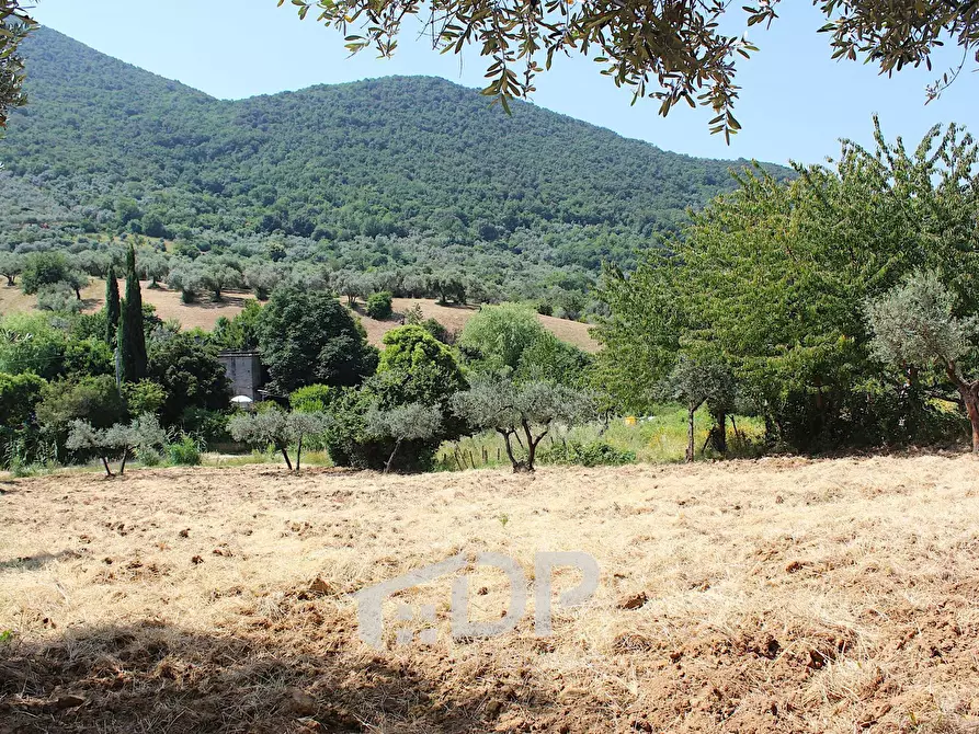 Immagine 17 di Terreno agricolo in vendita  in Strada della Fornace snc a Palombara Sabina