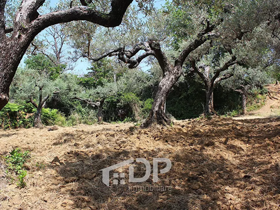 Immagine 19 di Terreno agricolo in vendita  in Strada della Fornace snc a Palombara Sabina