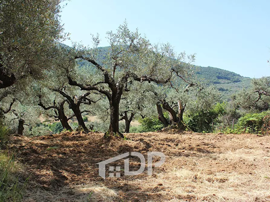 Immagine 20 di Terreno agricolo in vendita  in Strada della Fornace snc a Palombara Sabina