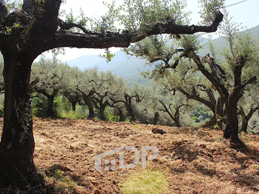 Immagine 21 di Terreno agricolo in vendita  in Strada della Fornace snc a Palombara Sabina