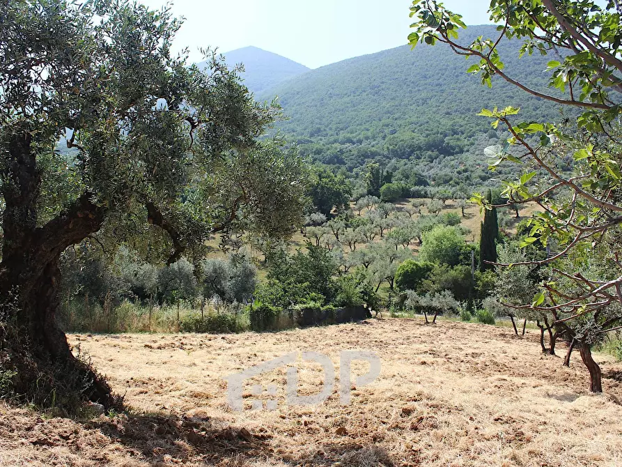 Immagine 22 di Terreno agricolo in vendita  in Strada della Fornace snc a Palombara Sabina
