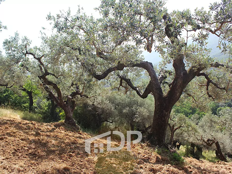Immagine 23 di Terreno agricolo in vendita  in Strada della Fornace snc a Palombara Sabina
