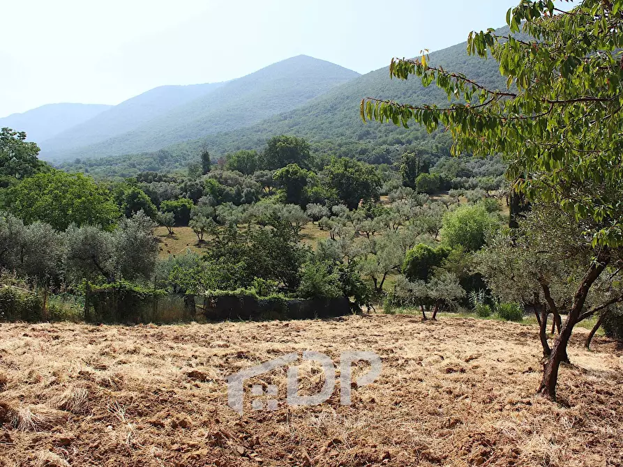 Immagine 24 di Terreno agricolo in vendita  in Strada della Fornace snc a Palombara Sabina