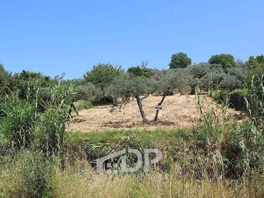 Immagine 25 di Terreno agricolo in vendita  in Strada della Fornace snc a Palombara Sabina