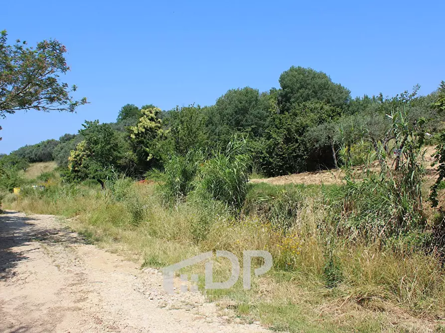 Immagine 8 di Terreno agricolo in vendita  in Strada della Fornace snc a Palombara Sabina