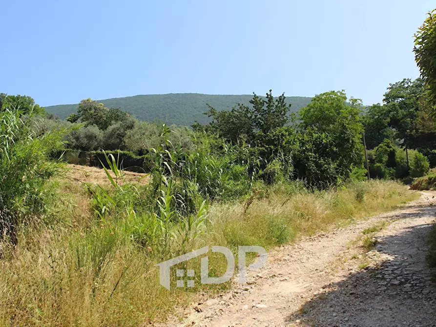 Immagine 7 di Terreno agricolo in vendita  in Strada della Fornace snc a Palombara Sabina