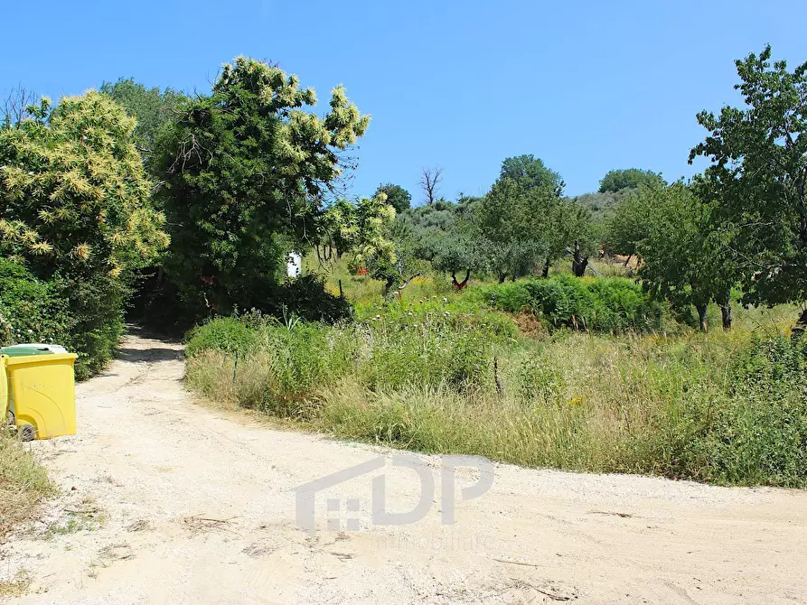 Immagine 9 di Terreno agricolo in vendita  in Strada della Fornace snc a Palombara Sabina