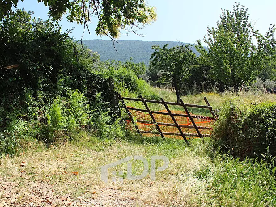 Immagine 12 di Terreno agricolo in vendita  in Strada della Fornace snc a Palombara Sabina