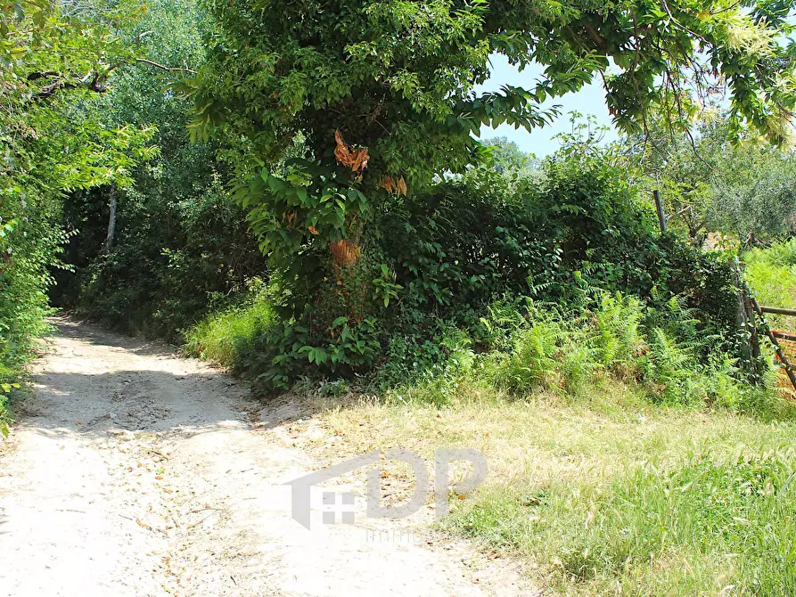 Immagine 10 di Terreno agricolo in vendita  in Strada della Fornace snc a Palombara Sabina