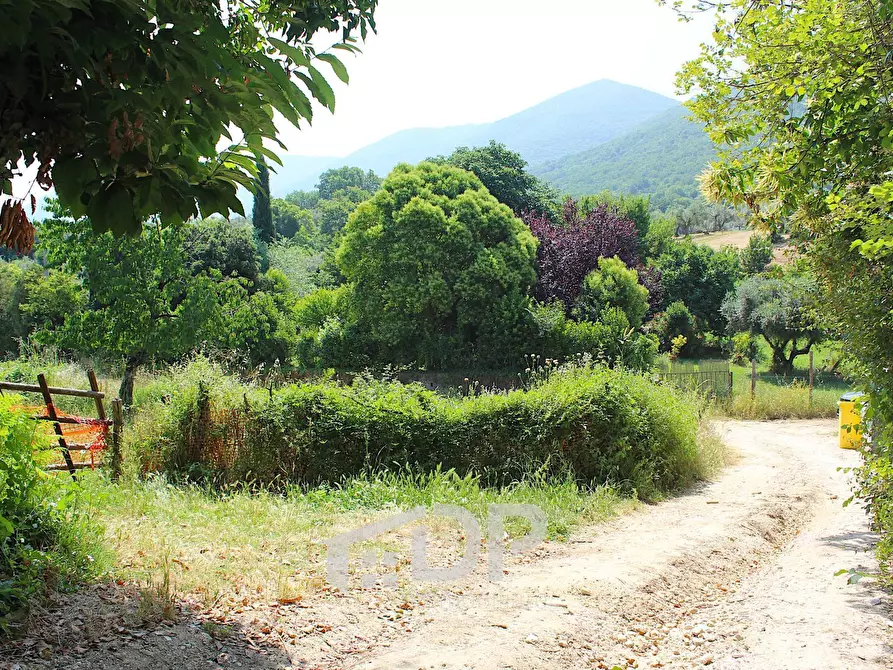 Immagine 11 di Terreno agricolo in vendita  in Strada della Fornace snc a Palombara Sabina