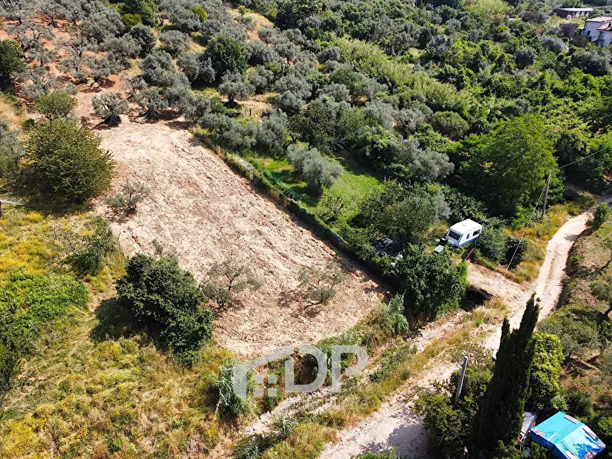 Immagine 5 di Terreno agricolo in vendita  in Strada della Fornace snc a Palombara Sabina