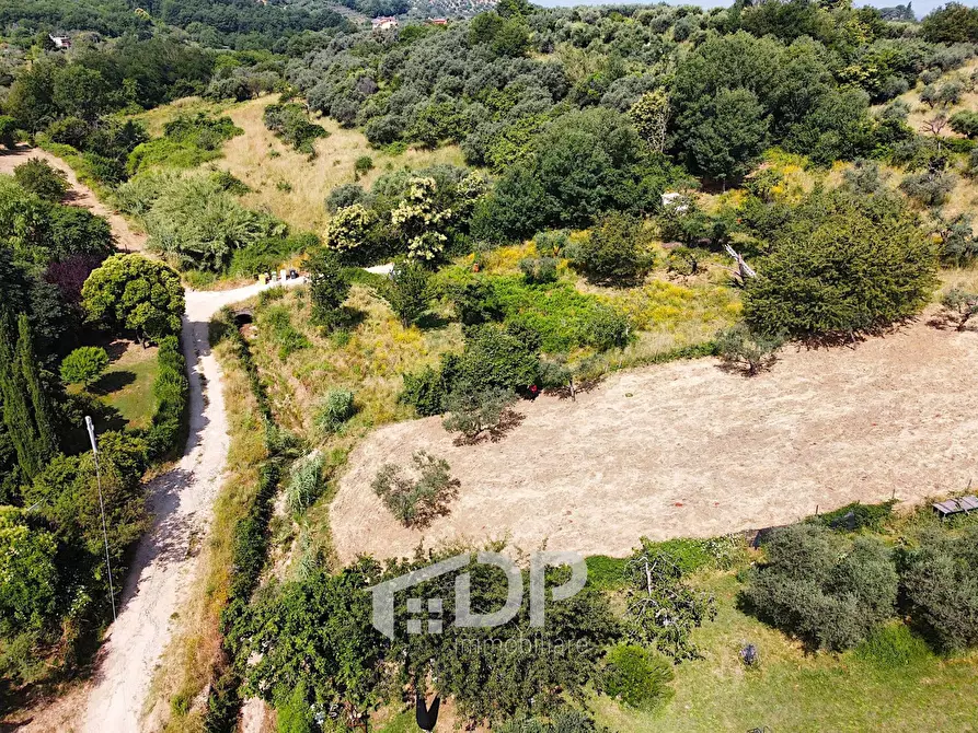 Immagine 6 di Terreno agricolo in vendita  in Strada della Fornace snc a Palombara Sabina