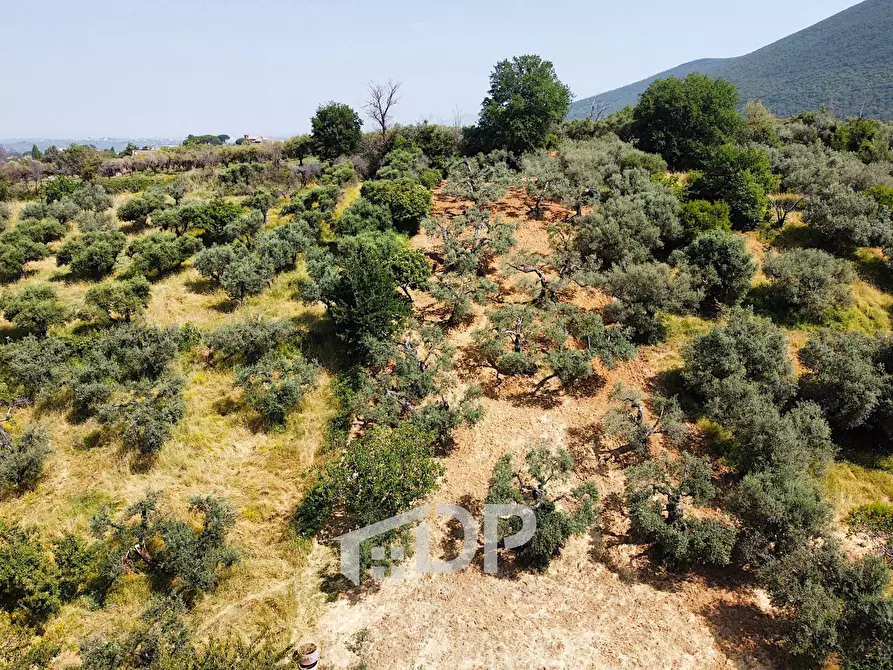 Immagine 2 di Terreno agricolo in vendita  in Strada della Fornace snc a Palombara Sabina