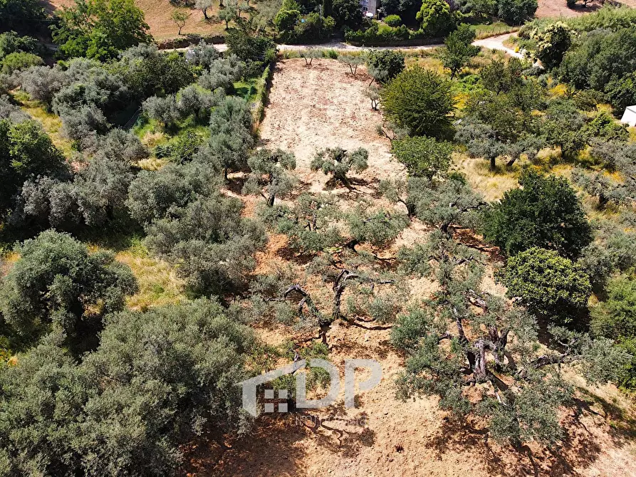 Immagine 4 di Terreno agricolo in vendita  in Strada della Fornace snc a Palombara Sabina