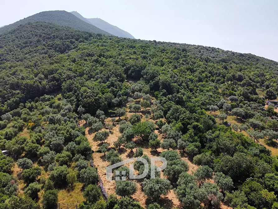 Immagine 2 di Terreno agricolo in vendita  in Strada di San Michele snc a Palombara Sabina