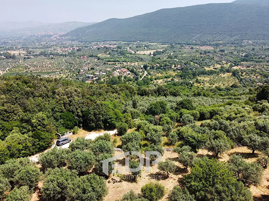 Immagine 8 di Terreno agricolo in vendita  in Strada di San Michele snc a Palombara Sabina