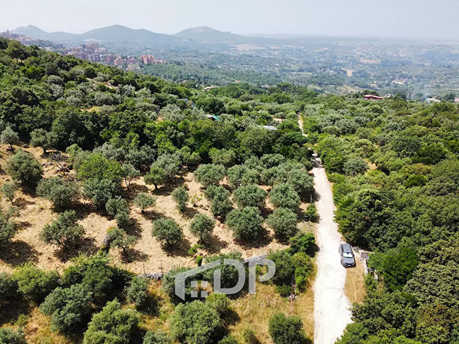 Immagine 9 di Terreno agricolo in vendita  in Strada di San Michele snc a Palombara Sabina