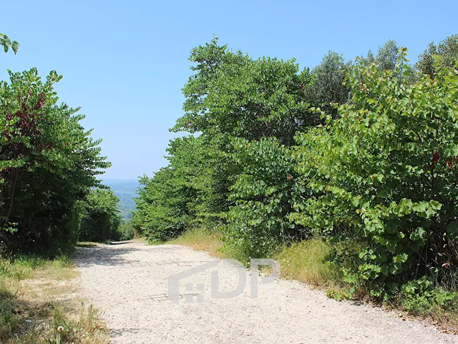 Immagine 12 di Terreno agricolo in vendita  in Strada di San Michele snc a Palombara Sabina