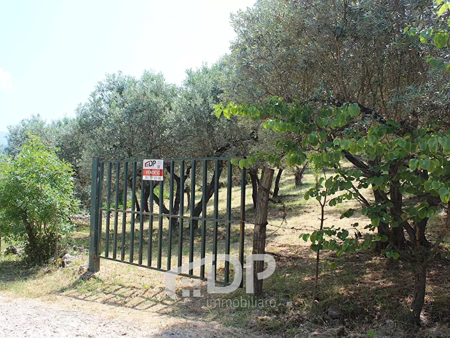 Immagine 14 di Terreno agricolo in vendita  in Strada di San Michele snc a Palombara Sabina