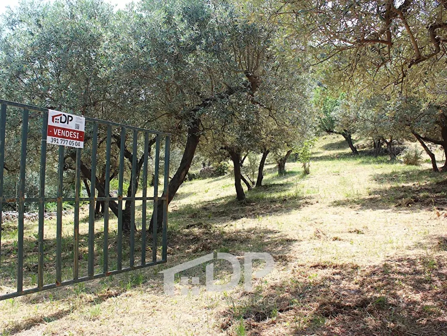 Immagine 15 di Terreno agricolo in vendita  in Strada di San Michele snc a Palombara Sabina