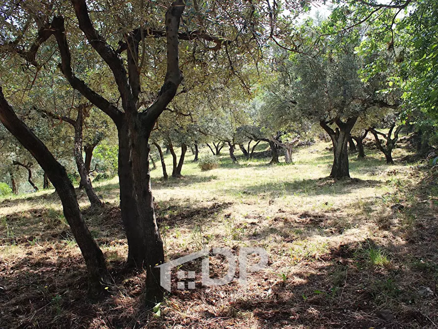 Immagine 18 di Terreno agricolo in vendita  in Strada di San Michele snc a Palombara Sabina