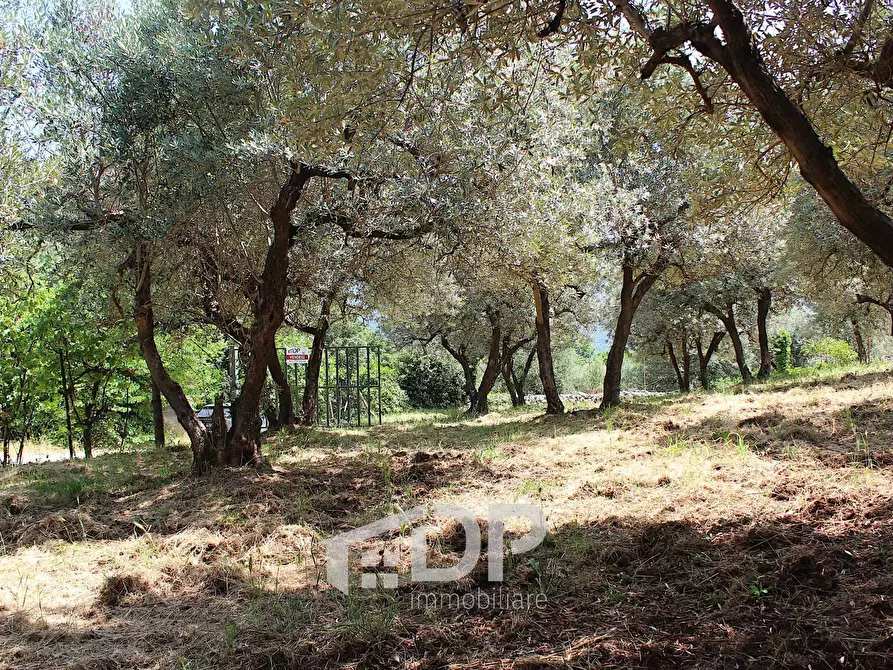 Immagine 17 di Terreno agricolo in vendita  in Strada di San Michele snc a Palombara Sabina