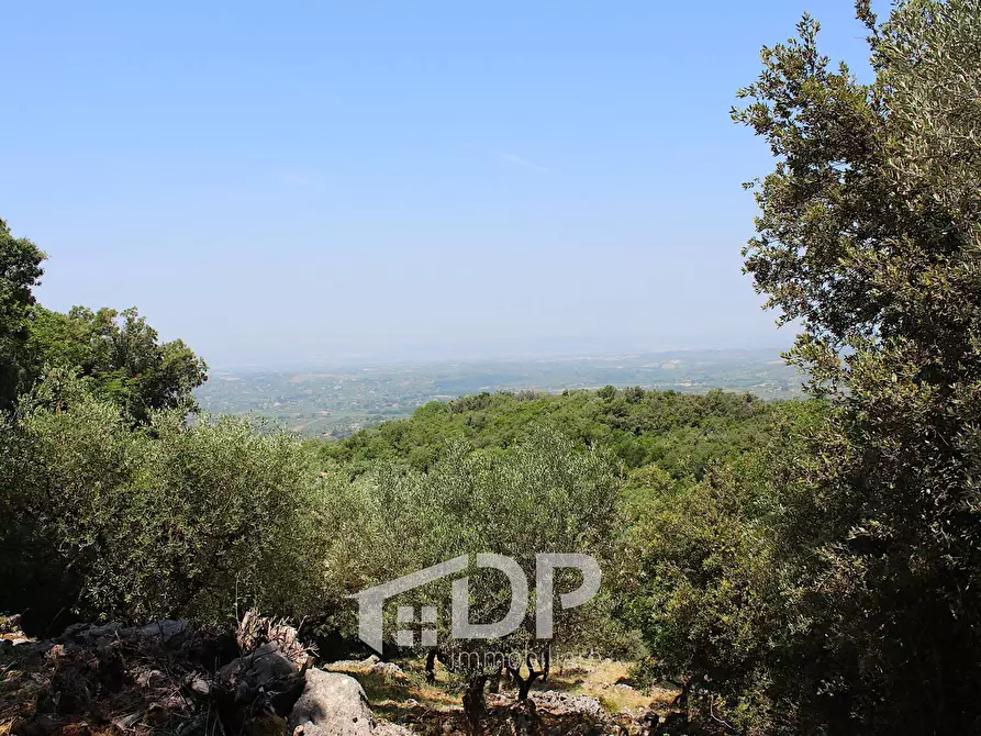 Immagine 28 di Terreno agricolo in vendita  in Strada di San Michele snc a Palombara Sabina