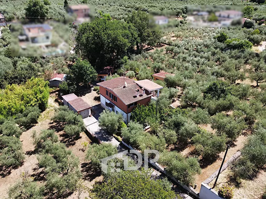 Immagine 8 di Casa indipendente in vendita  in Via dell'Uliveto 18 a Palombara Sabina