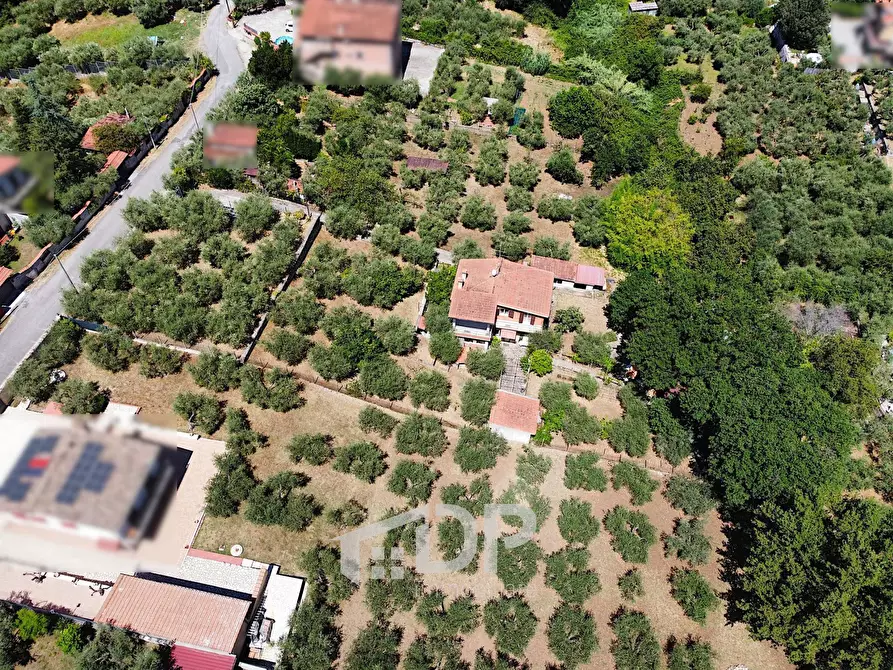 Immagine 4 di Casa indipendente in vendita  in Via dell'Uliveto 18 a Palombara Sabina