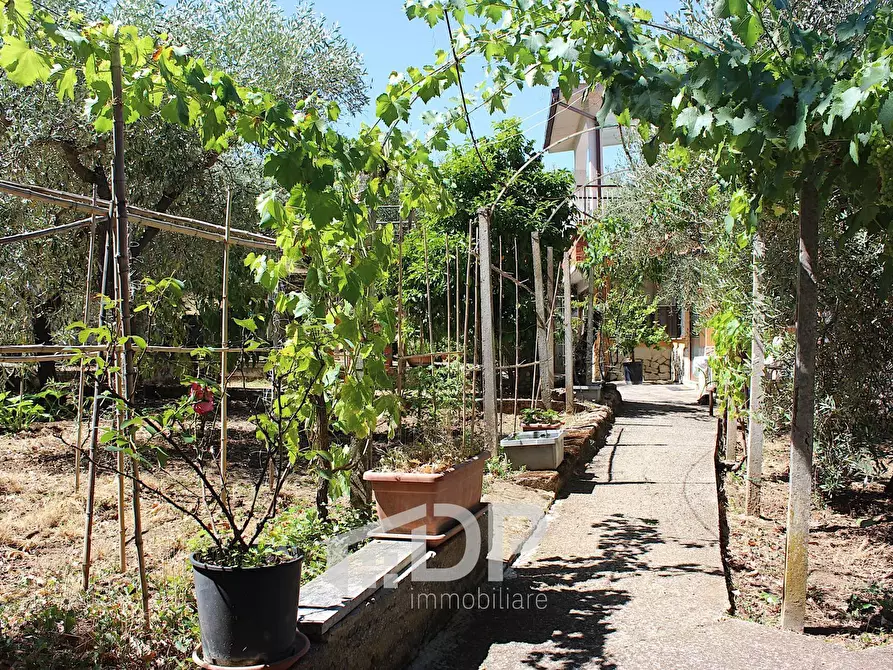 Immagine 57 di Casa indipendente in vendita  in Via dell'Uliveto 18 a Palombara Sabina