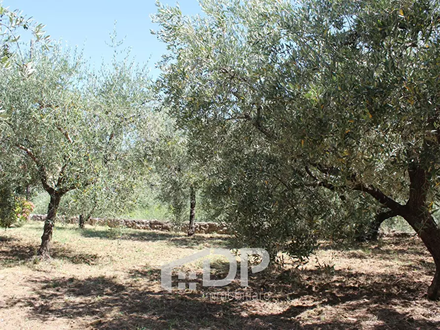 Immagine 64 di Casa indipendente in vendita  in Via dell'Uliveto 18 a Palombara Sabina