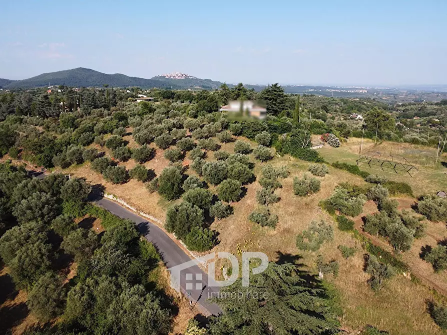 Immagine 4 di Terreno residenziale in vendita  in Strada dei Colli snc a Palombara Sabina