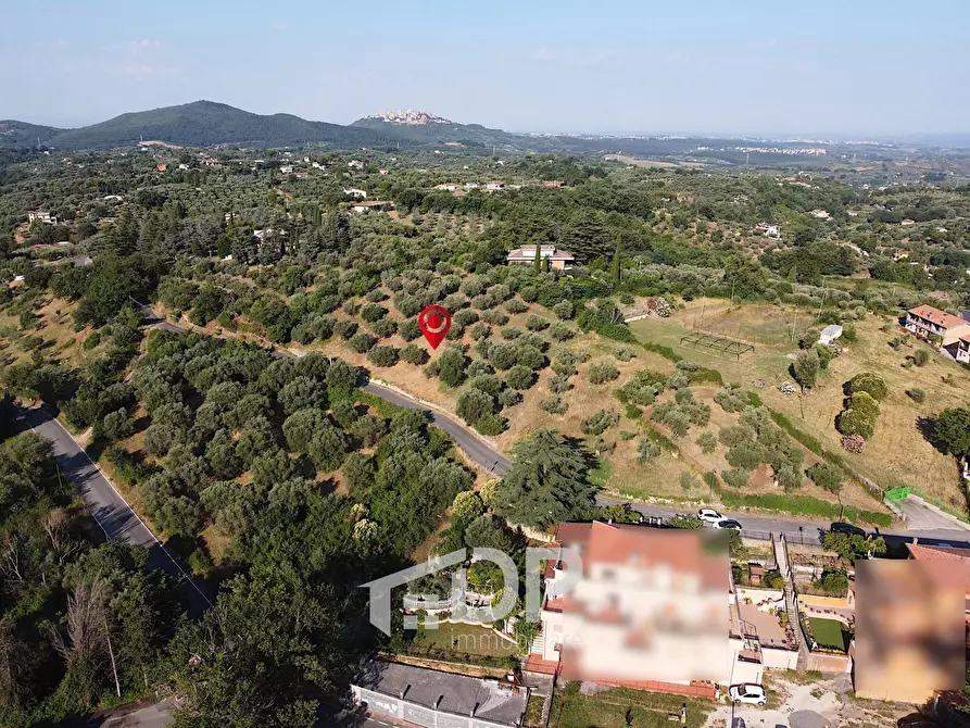 Immagine 3 di Terreno residenziale in vendita  in Strada dei Colli snc a Palombara Sabina