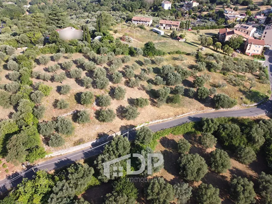 Immagine 5 di Terreno residenziale in vendita  in Strada dei Colli snc a Palombara Sabina