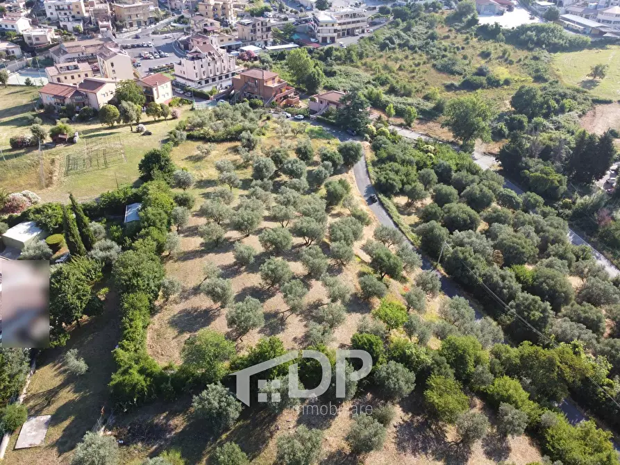 Immagine 6 di Terreno residenziale in vendita  in Strada dei Colli snc a Palombara Sabina