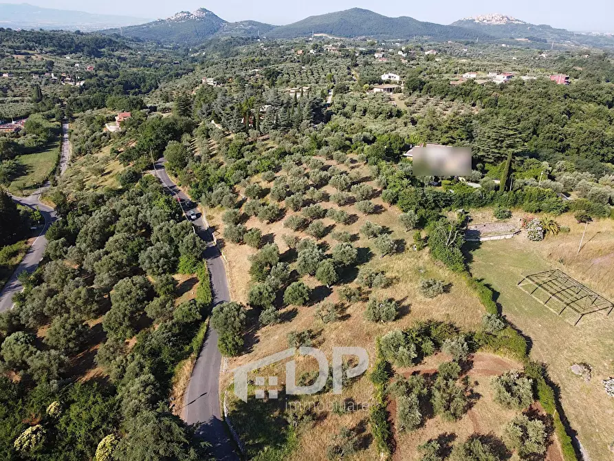 Immagine 10 di Terreno residenziale in vendita  in Strada dei Colli snc a Palombara Sabina