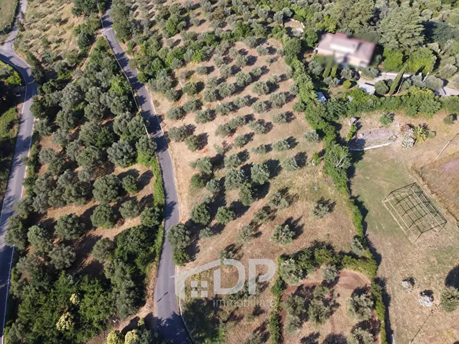 Immagine 11 di Terreno residenziale in vendita  in Strada dei Colli snc a Palombara Sabina