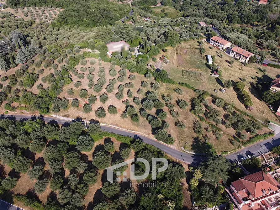 Immagine 12 di Terreno residenziale in vendita  in Strada dei Colli snc a Palombara Sabina