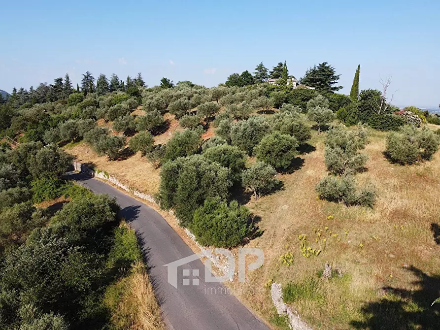Immagine 19 di Terreno residenziale in vendita  in Strada dei Colli snc a Palombara Sabina