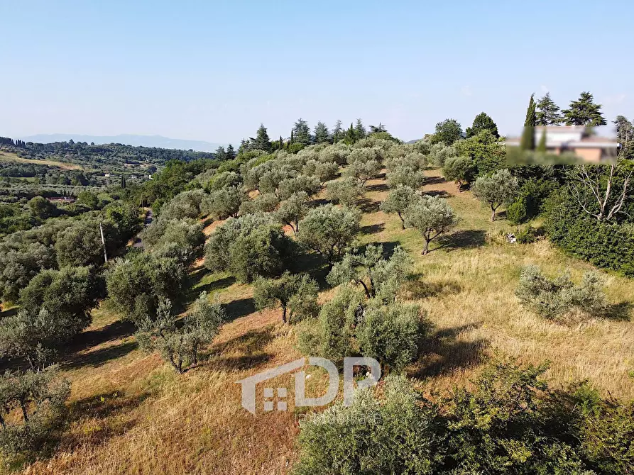 Immagine 15 di Terreno residenziale in vendita  in Strada dei Colli snc a Palombara Sabina