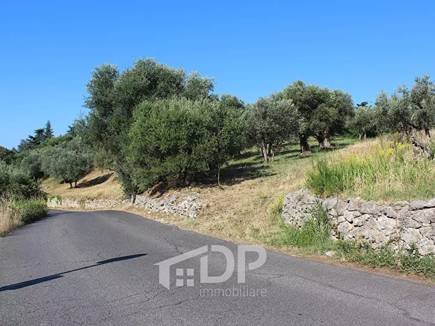 Immagine 20 di Terreno residenziale in vendita  in Strada dei Colli snc a Palombara Sabina