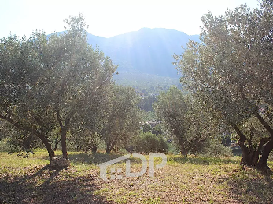 Immagine 27 di Terreno residenziale in vendita  in Strada dei Colli snc a Palombara Sabina