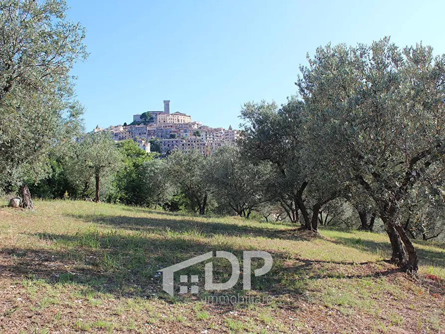 Immagine 31 di Terreno residenziale in vendita  in Strada dei Colli snc a Palombara Sabina